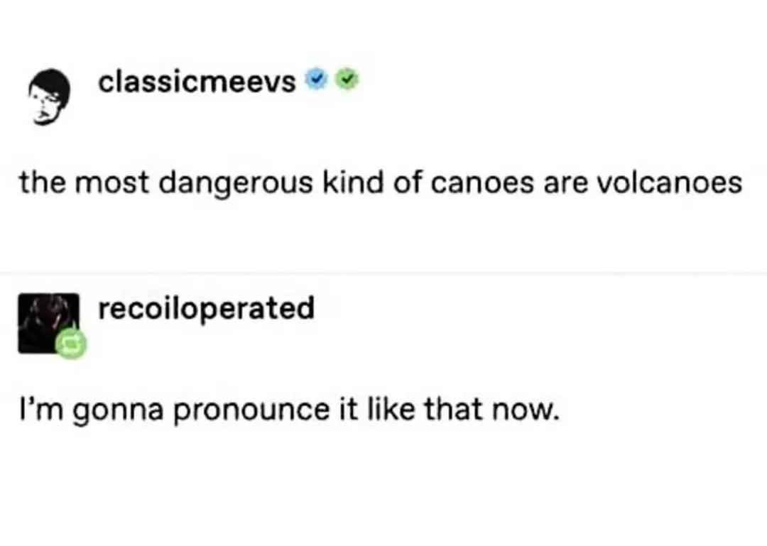 20 Bottom Shelf Memes that are out of this World 3 Dangerous kind of canoes