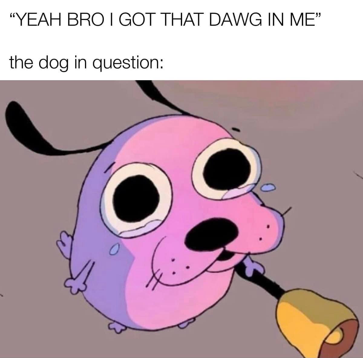 20 Memes That Are the Lovechild of Chaos and Comedy 2 Dawg in me