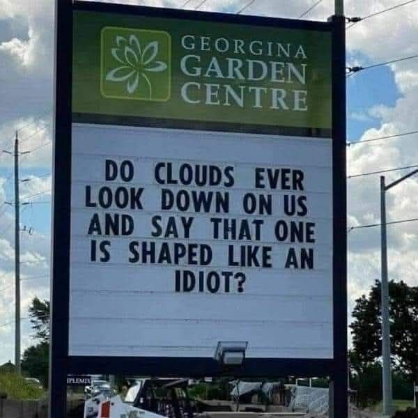 20 Ridiculous Signs That Prove Logic Is Overrated 4 Do clouds ever - Ridiculous Signs