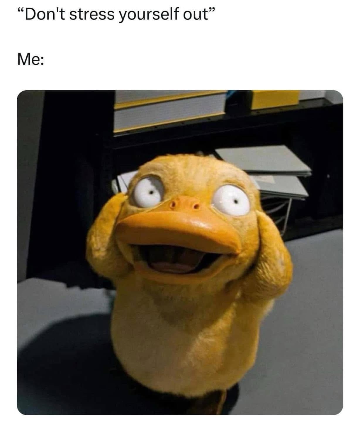 20 Memes That Are as Random as Life Itself 6 Dont stress