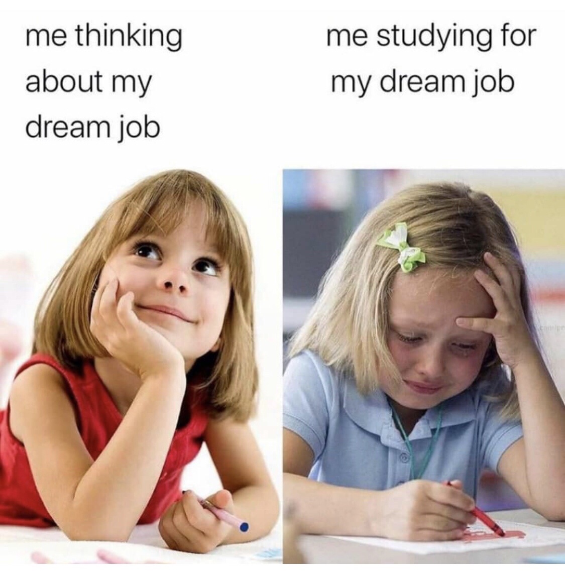 20 Memes That Feel Like Laughing in a Silent Room 3 Dream job
