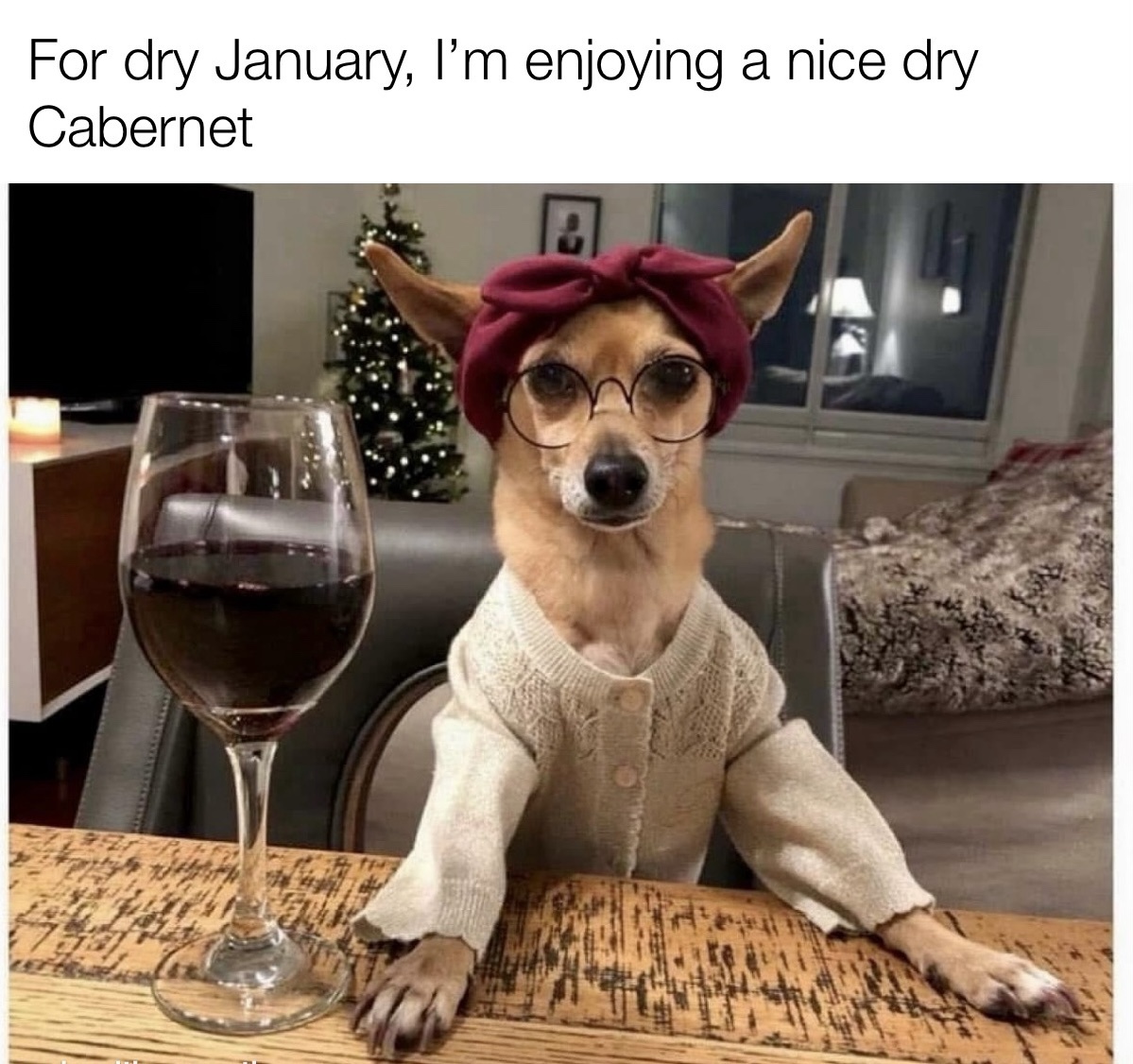 20 Memes That Are the Digital Equivalent of a Shrug 4 Dry january
