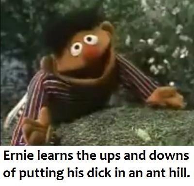 20 Slightly Naughty Memes That Are Just the Right Amount of Wrong 6 Earnie learns - Slightly Naughty Memes