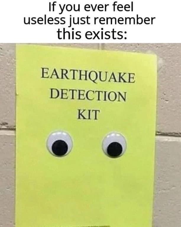 20 Memes That Are the Digital Equivalent of a Sneeze 2 Earth quake detection