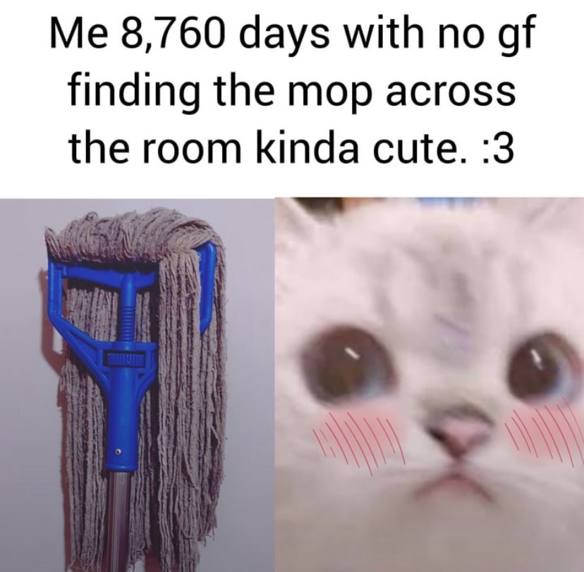 28 Memes That Are the Digital Version of Laughing Gas 8 FInding the mop