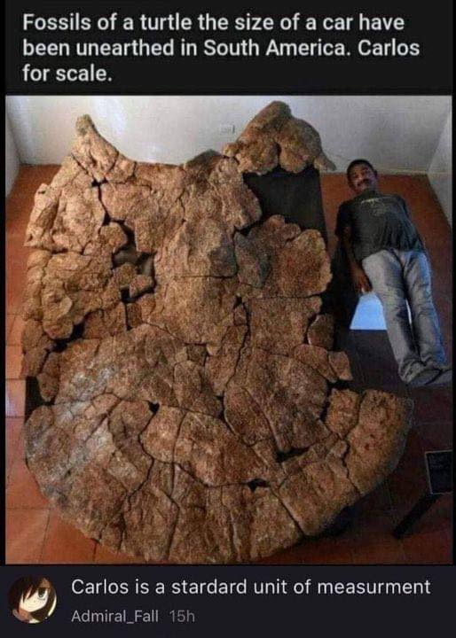 20 Best Science Memes That’ll Blow Your Mind (No Lab Required) 8 Fossils of a turtle - Best Science Memes