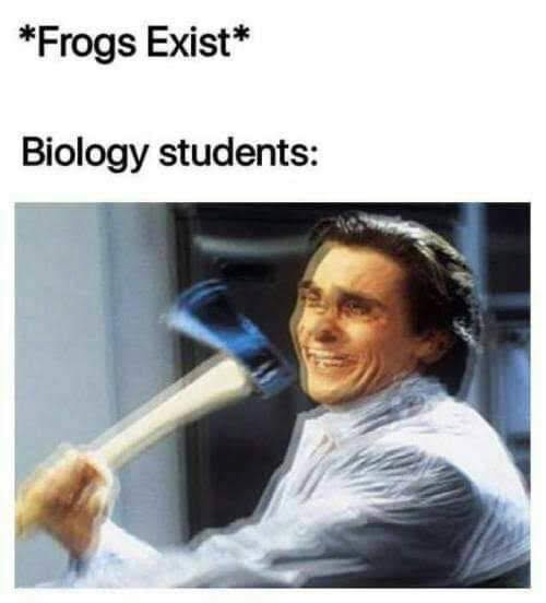 20 Best Science Memes That’ll Blow Your Mind (No Lab Required) 9 Frogs exist - Best Science Memes