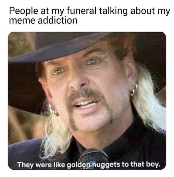 20 Memes That Make Absolutely No Sense… and That’s the Point 9 Glden nuggets