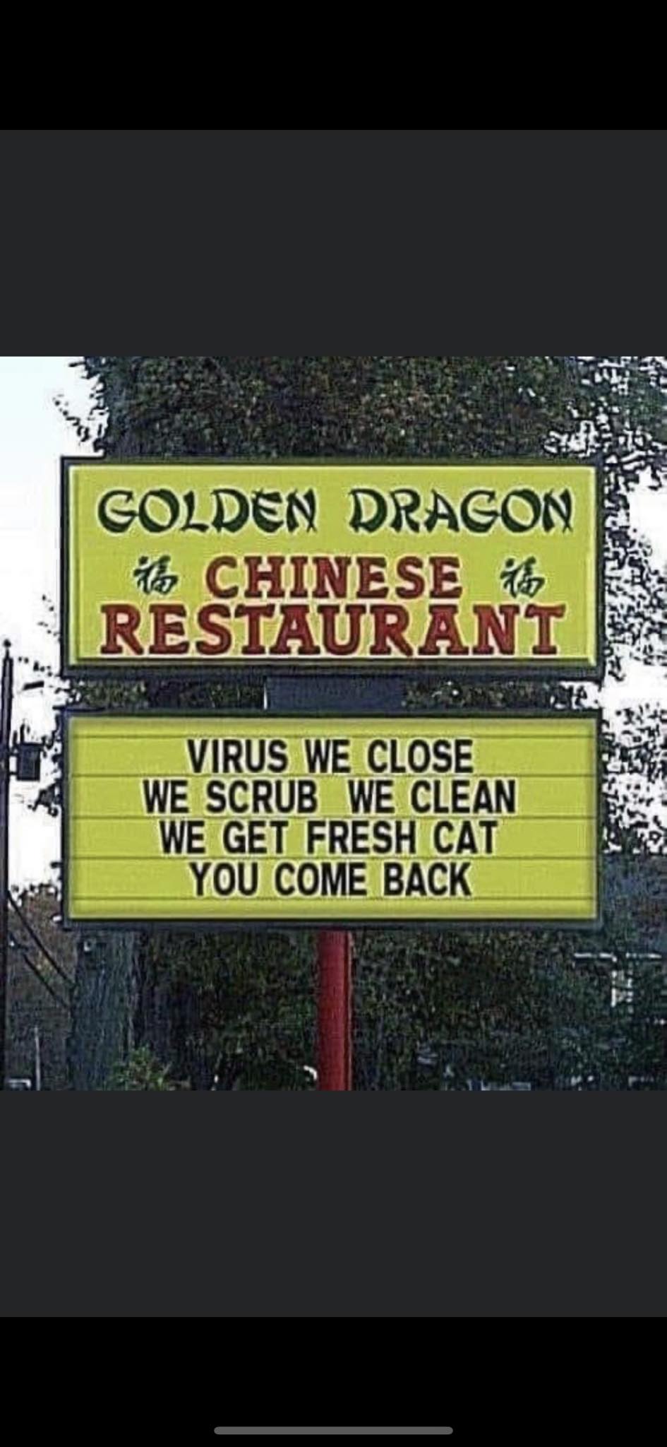 20 Ridiculous Signs That Prove Logic Is Overrated 9 Golden dragon - Ridiculous Signs