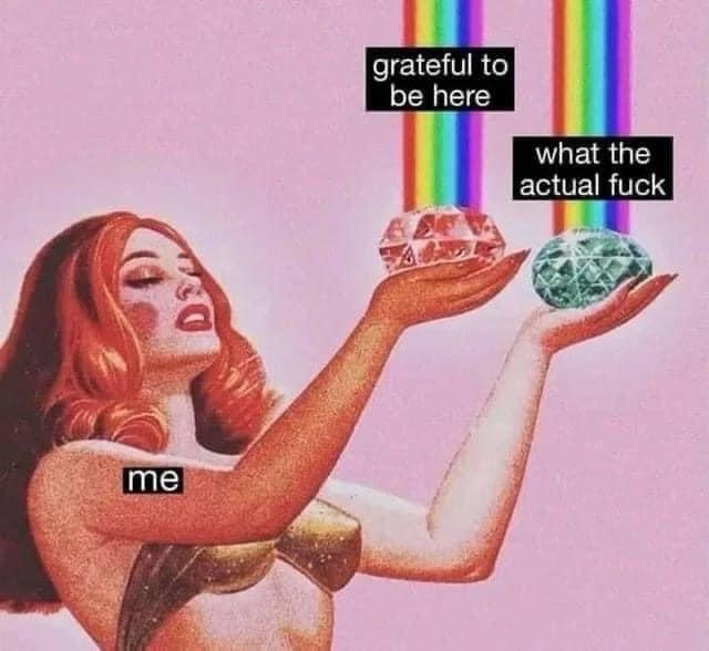 20 Memes So Random They Deserve Their Own Conspiracy Theory 5 Grateful to be here