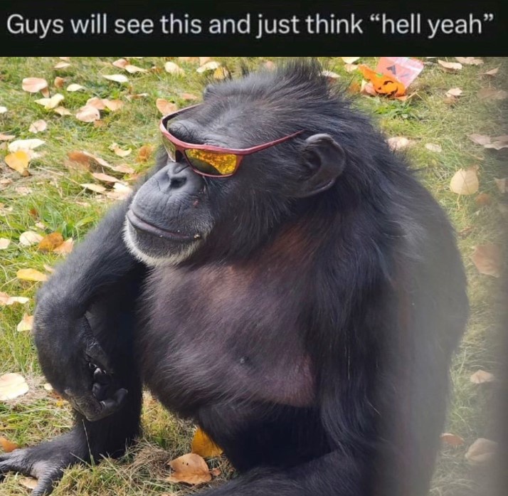 20 Memes That Are So Unpredictable, They Might Just Be Magic 5 Guys will se this