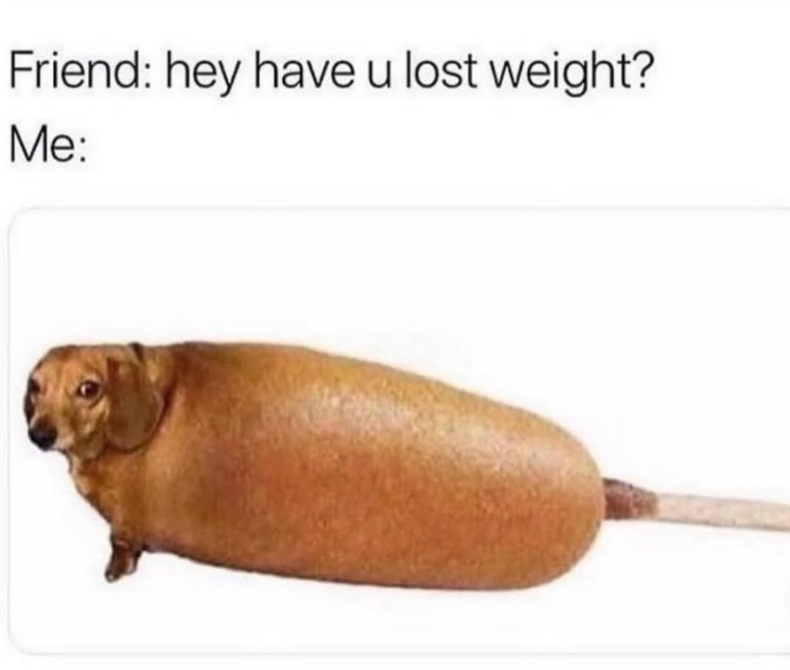 30 Laughable Memes That Will Make Your Stomach Hurt from Laughter 27 Have you lost weight