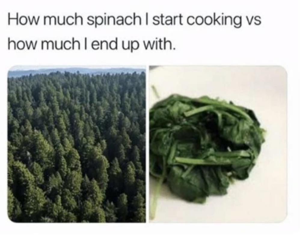 30 Illogical Memes That Make Too Much Sense 8 How much spinach - Illogical Memes