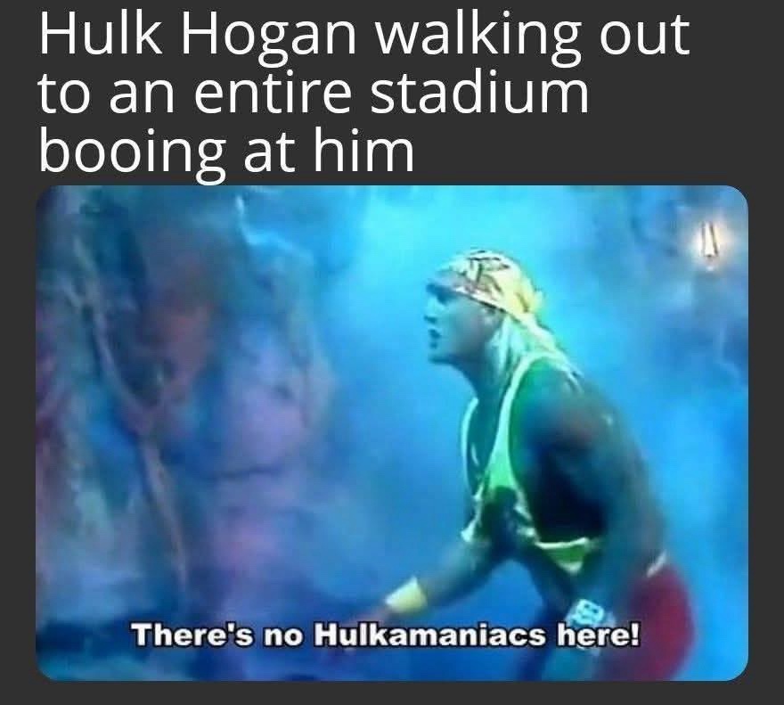 20 Memes That’ll Make You Laugh, Then Think, Then Laugh Again 4 Hulk hogan walking out