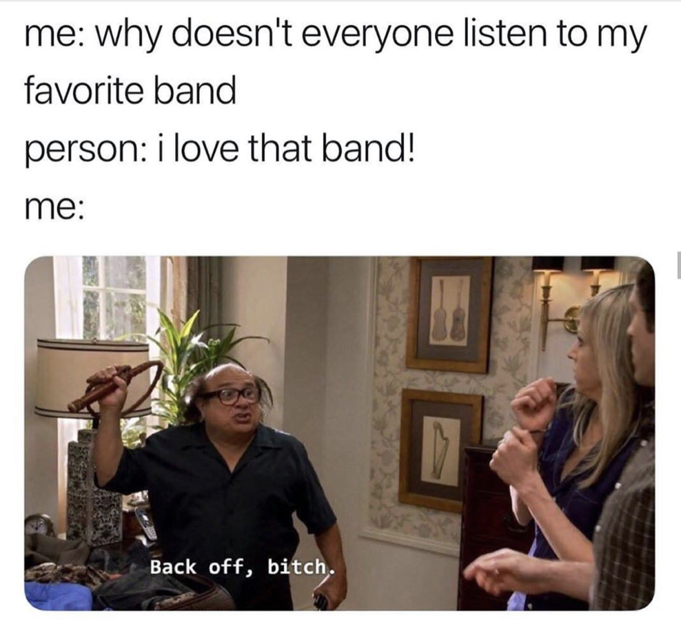 20 Memes That Smell Like Chaos and Taste Like Laughter 5 I love that band