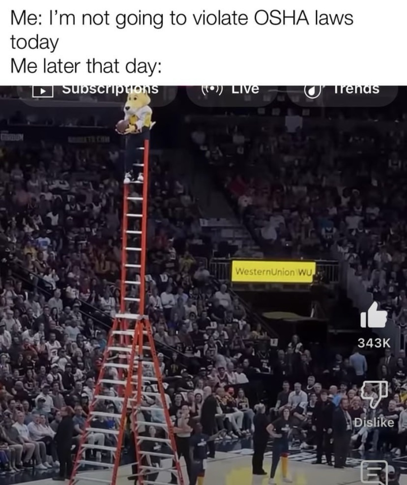 28 Memes That Are the Digital Version of Laughing Gas 11 Im not going to violate