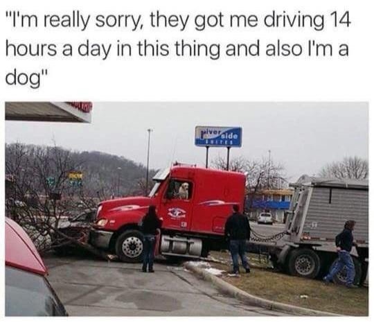 20 Memes That Are the Digital Equivalent of a Sneeze 6 Im really sorry