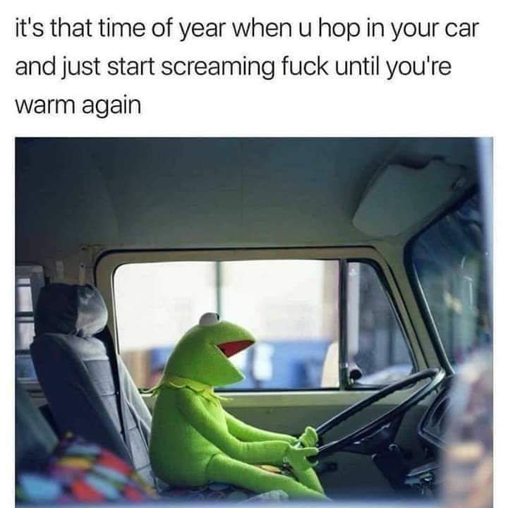 23 Memes as Random as Your Midnight Cravings 7 Its that time