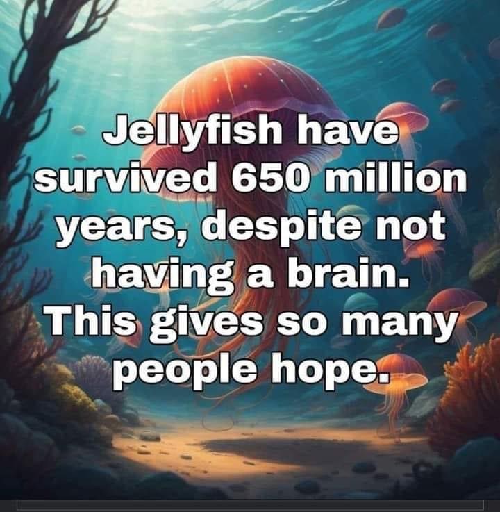 20 Best Science Memes That’ll Blow Your Mind (No Lab Required) 13 Jelly fish have survived - Best Science Memes