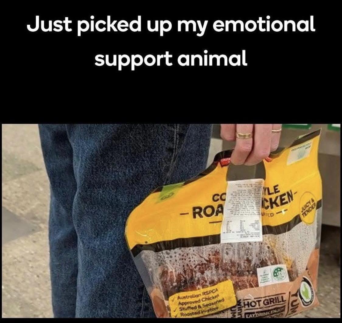 25 Dank Memes That Unlock Forbidden Laughter 24 Just picked my emotional support animal