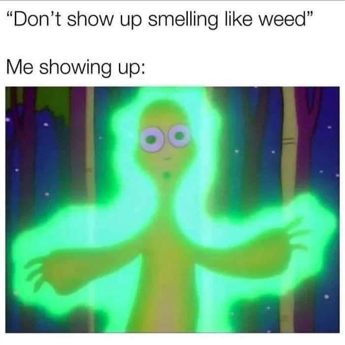 20 Memes That Are the Lovechild of Chaos and Comedy 9 Me showing up