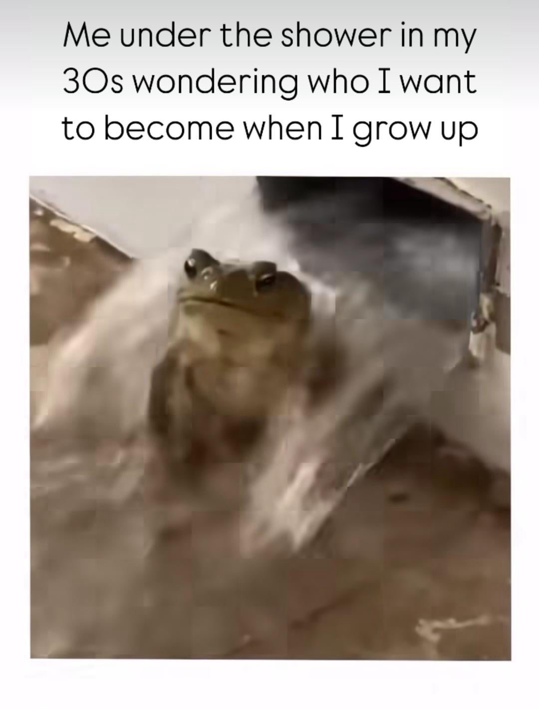 20 Memes That Make Absolutely No Sense… and That’s the Point 16 Me under the shower