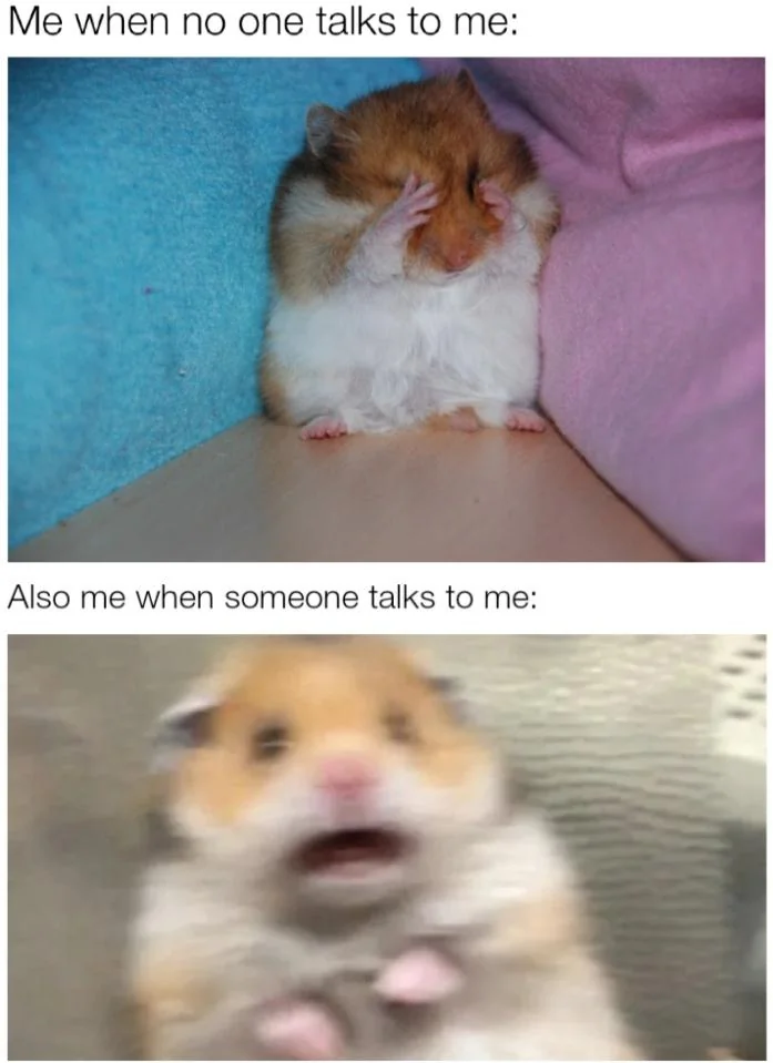 20 Social Anxiety Memes That Understand Your Awkward Soul 7 Me when no one talks to me - Social Anxiety Memes