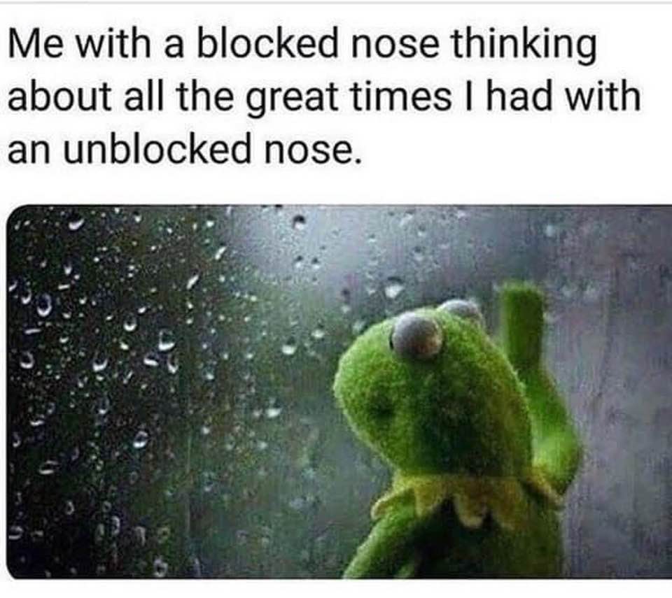 30 Illogical Memes That Make Too Much Sense 10 Me with a blocked nose - Illogical Memes