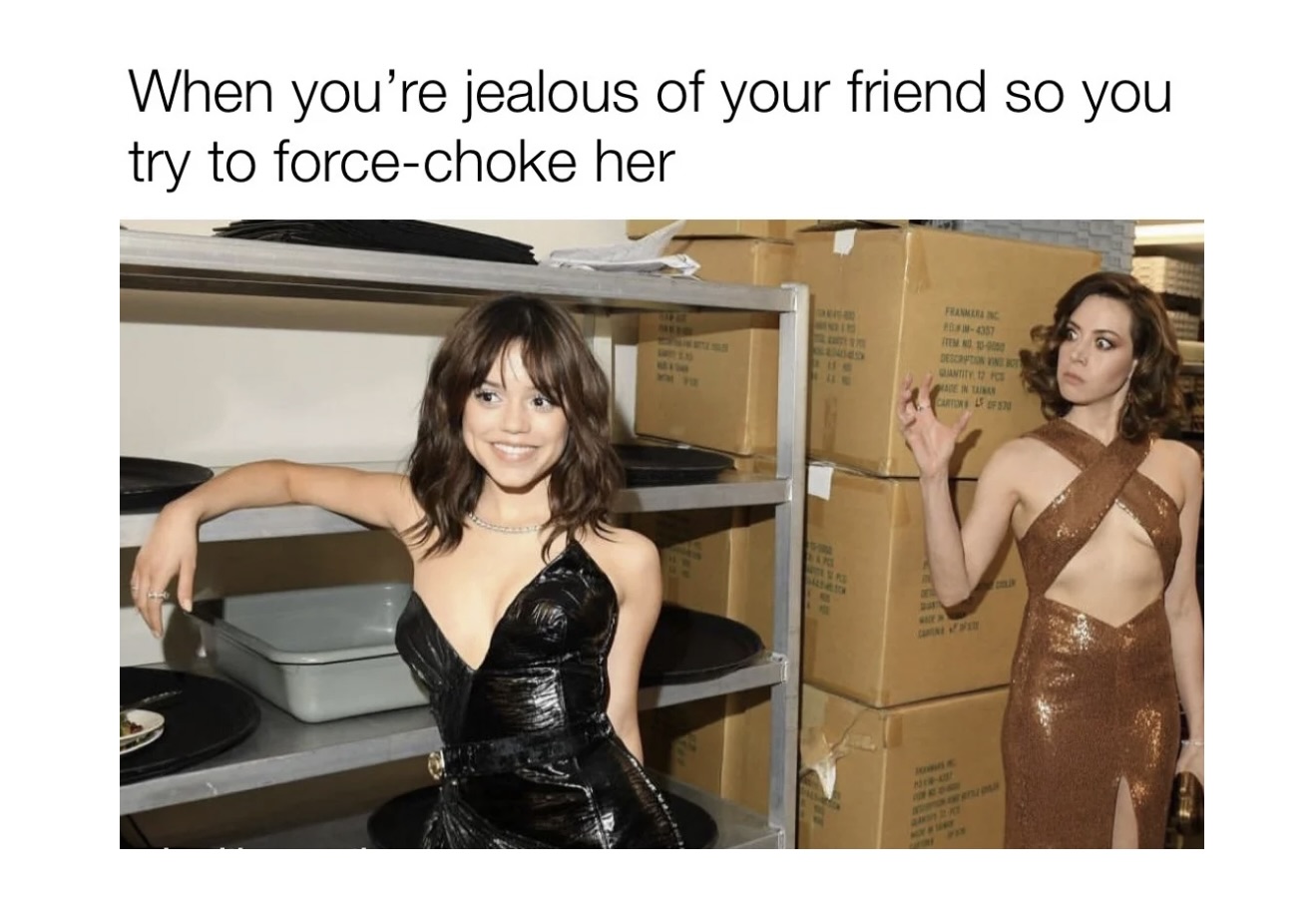 Memes That Are the Digital Equivalent of a Mic Drop - FG.jpeg