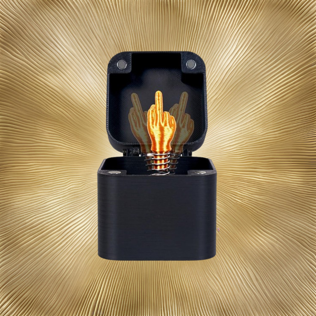 Middle Finger in a Box: The Bold Gift That Speaks for Itself 18 Middle Finger in a Box - FG