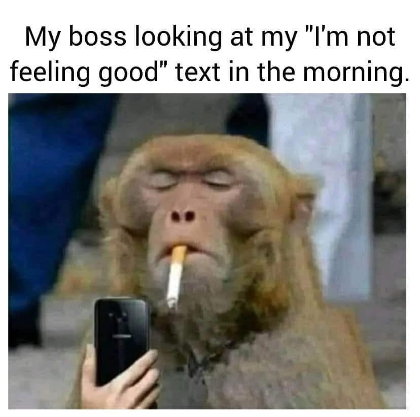 20 Memes That Are as Random as That One Sock in Your Laundry 12 My boss looking at my