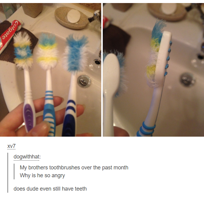 20 Memes That Smell Like Chaos and Taste Like Laughter 14 My brothers toothbrush