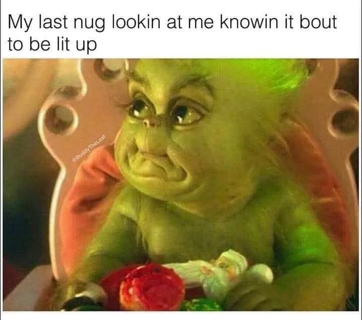 20 Memes That Smell Like Chaos and Taste Like Laughter 15 My last nug