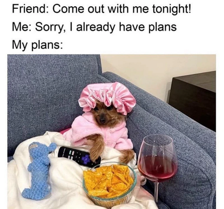 28 Memes That Are the Digital Version of Laughing Gas 16 My plans