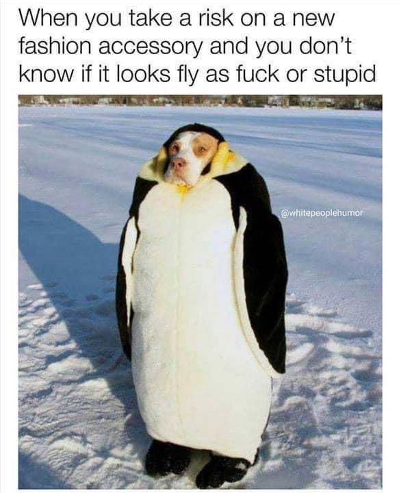 20 Memes That Are the Digital Equivalent of a Mic Drop 15 New fashion accessory