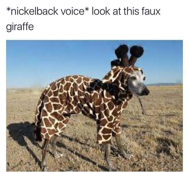 21 Memes That Offer Zero Solutions, but Plenty of Laughter 9 Nickelback singer