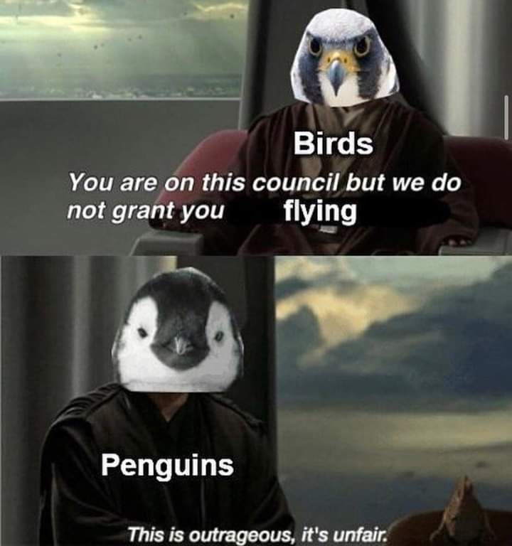 20 Memes That Are So Unpredictable, They Might Just Be Magic 14 Penguins