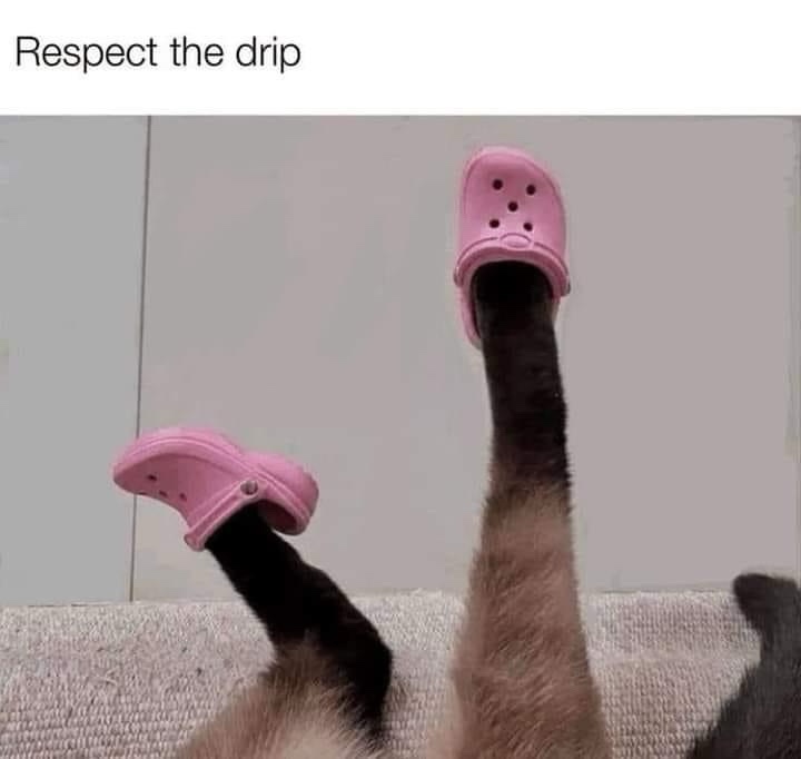 28 Memes That Are the Digital Version of Laughing Gas 19 Respect the drip