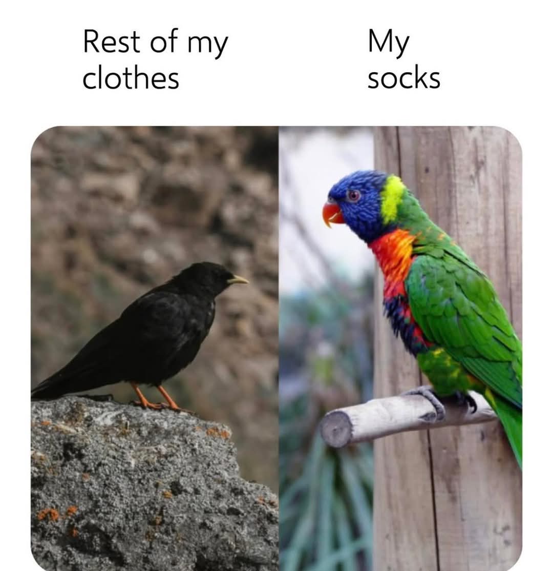 20 Memes That Make Absolutely No Sense… and That’s the Point 20 Rest of my clothes