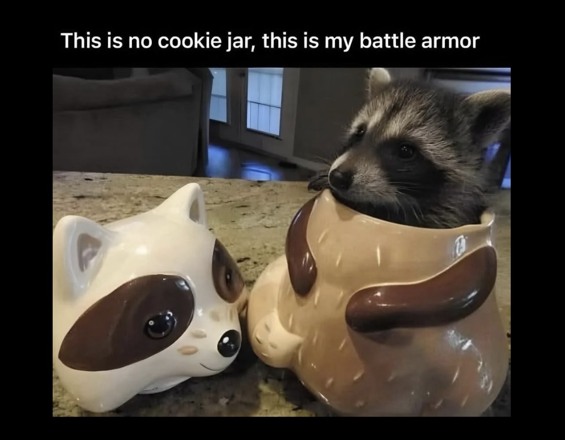 20 Ridiculous Animal Memes That Are Better Than Watching the News 14 Ridiculous Animal Memes - FG