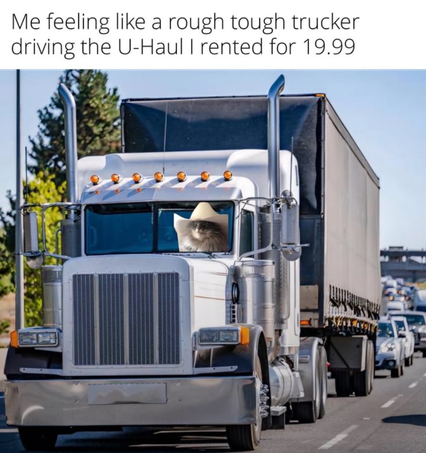 20 Memes That Are Pure Chaos in JPEG Form 17 Rough tucker
