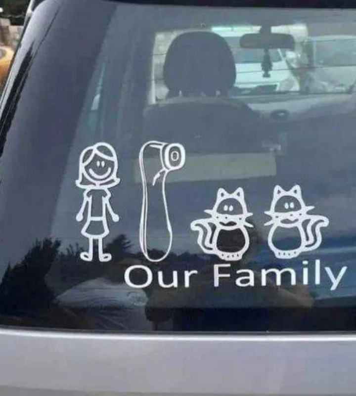 20 Bumper Stickers So Funny They’ll Have You Tailgating for More 14 Saw another one today...