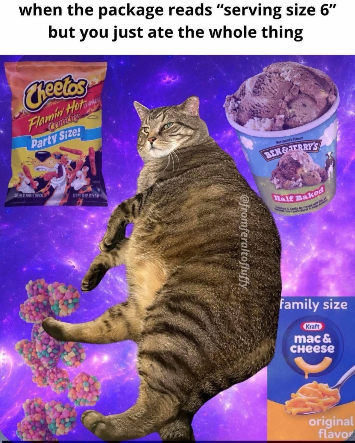 25 Hilarious Cat Memes To Start Your 2026 Off Right! 9 Me watching olive garden