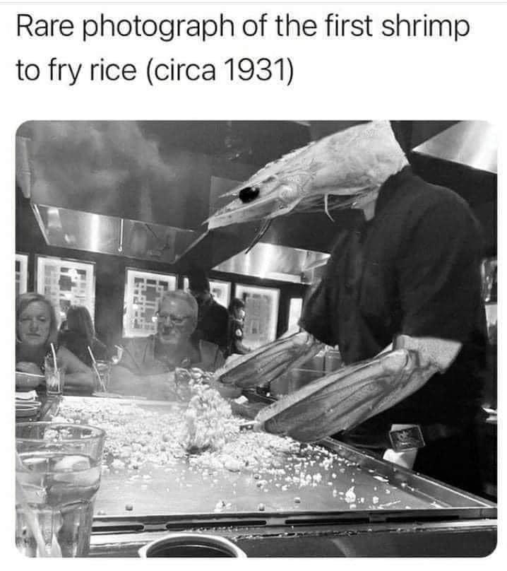 20 Memes That Are the Lovechild of Chaos and Comedy 13 Shrimp fry rice