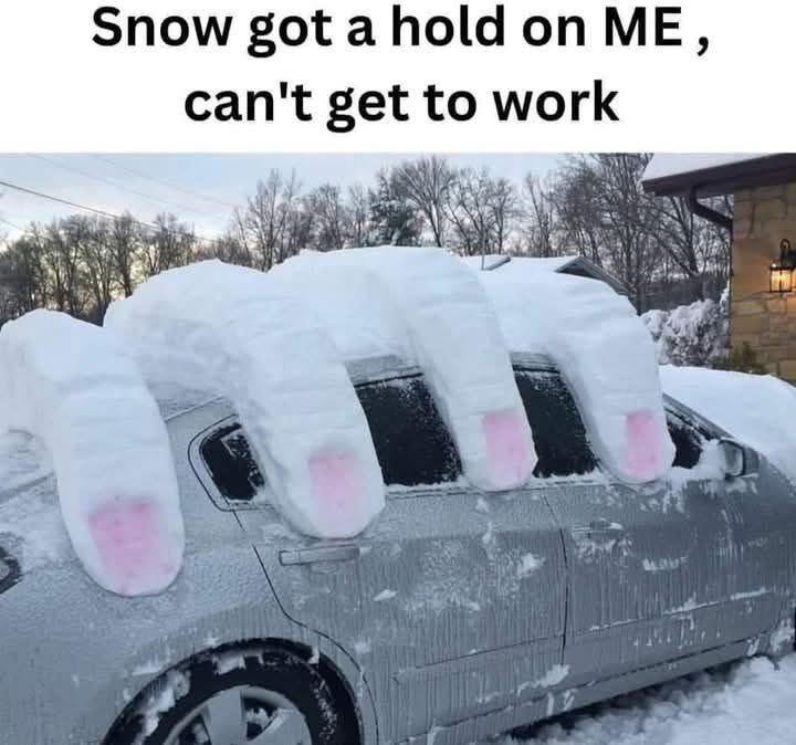 20 Memes That’ll Make You Laugh, Then Think, Then Laugh Again 11 Snow got a hold on me