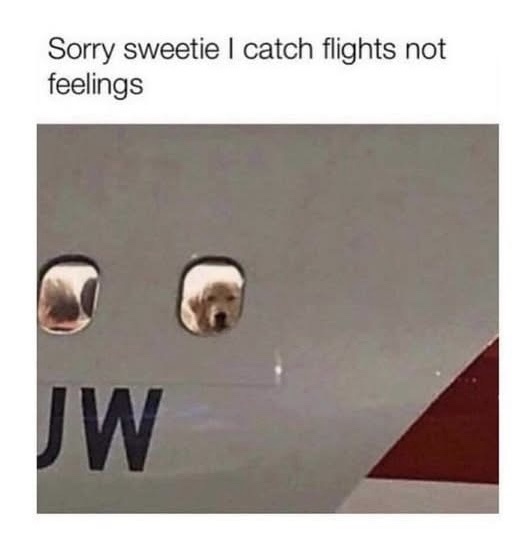 20 Memes That Are Basically a Masterpiece of Digital Nonsense 14 Sorry swetie