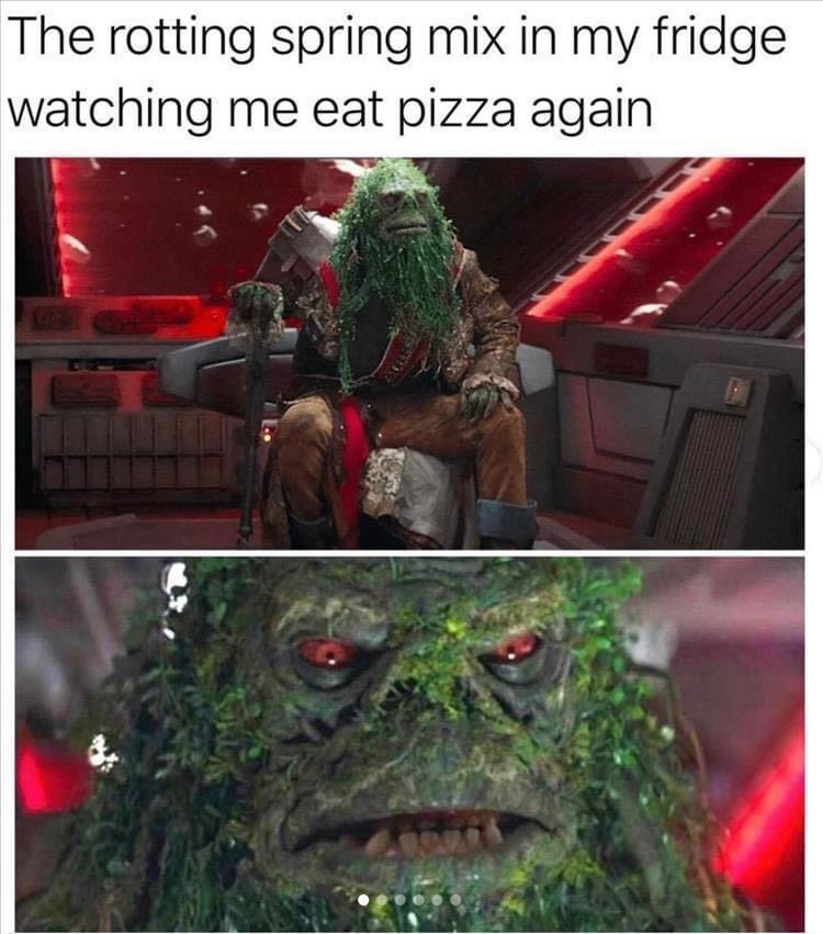 20 Memes That Are Like Finding Gold in the Internet’s Dumpster 11 Spring mix