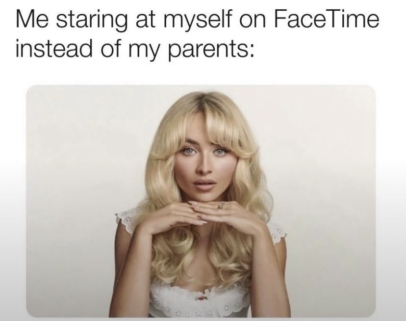 20 Memes That Are Like Finding Gold in the Internet’s Dumpster 12 Staring at myself