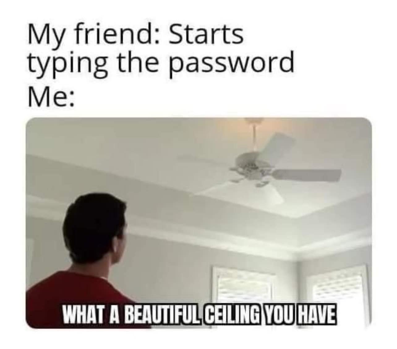 30 Illogical Memes That Make Too Much Sense 20 Starts typing password - Illogical Memes