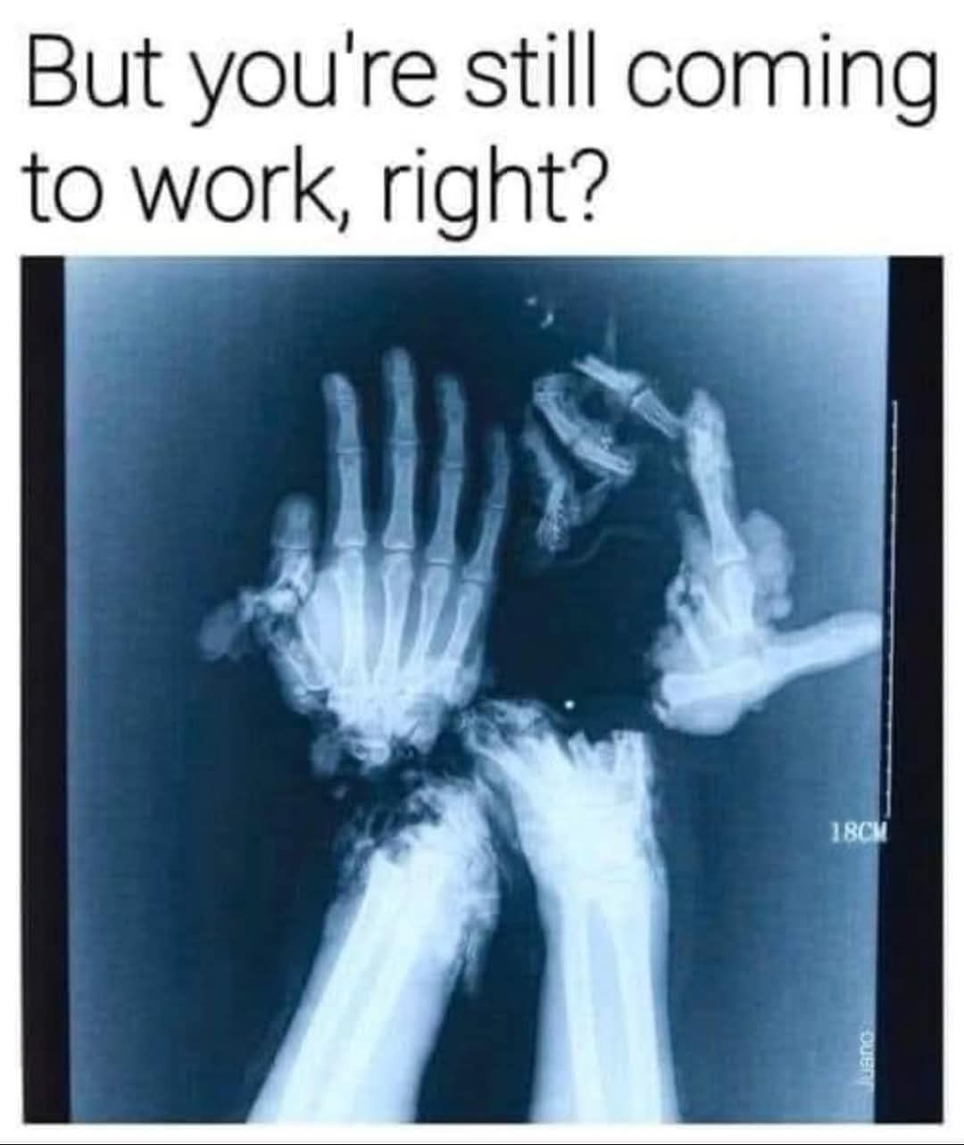 20 Memes That Are Definitely Up to Something 14 Still coming to work